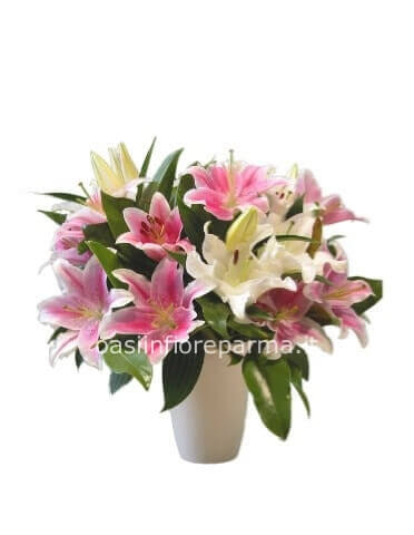 Mazzo di 6 lilium assortiti