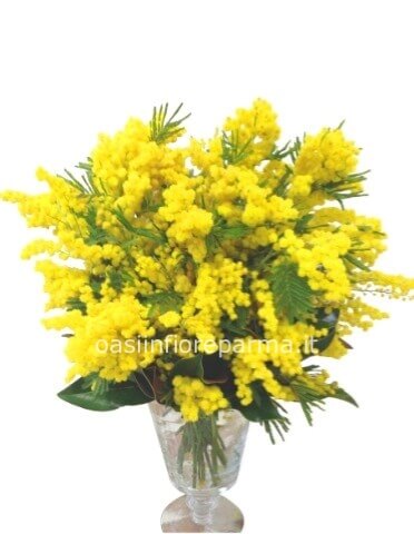 Composizione a bouquet con solo mimosa a partire da