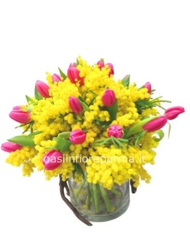 Bouquet di 7 tulipani e mimosa.