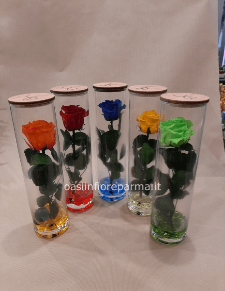 Rosa grande in vaso vetro 