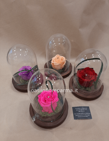 Rosa solo rossa ,con cupola piccola