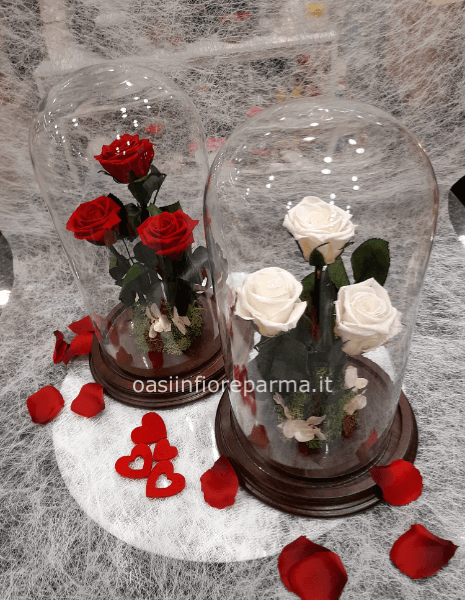 Rosa stabilizzata media 3 rami con vetro